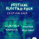 festival_electrofolk_57960