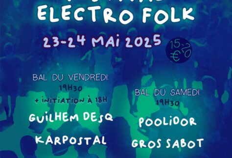 festival_electrofolk_57960